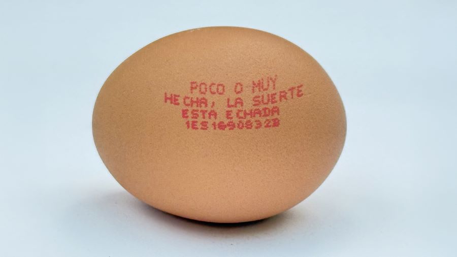 Lay’s revela que más de dos millones de andaluces tienen miedo a cocinar tortilla de patatas