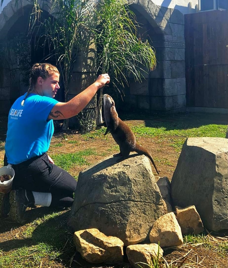 Finaliza con éxito el programa de cria de nutria de Sea Life Benalmádena 1 cria de nutria