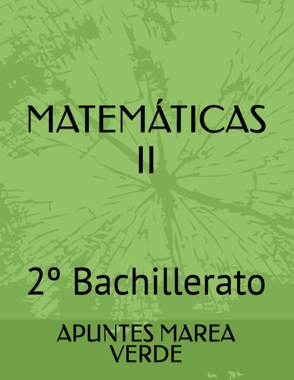 Publicada una colección de 29 libros de Matemáticas para ESO, Bachillerato y PAU con precios asequibles 2 Matemáticas