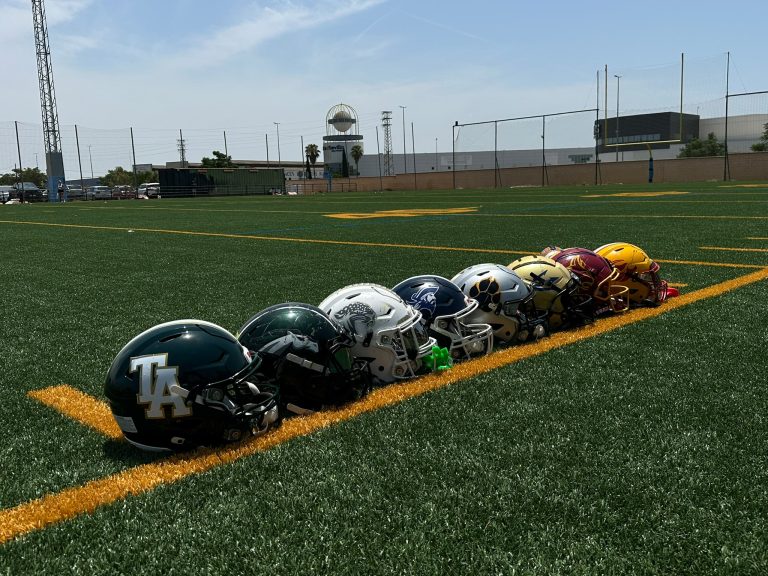 Éxito rotundo en el I Clinic del Team Andalucía de Fútbol Americano DIVERSOS CASCOS DE EQUIPO REPRESENTADOS