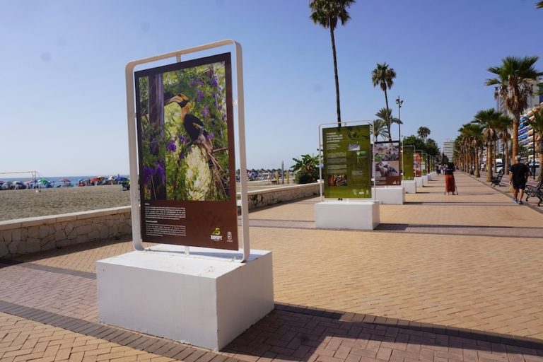 Exposicion 25 Aniversario Paseo Maritimo Los Boliches BIOPARC Fuengirola 2